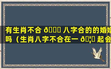 有生肖不合 🐘 八字合的的婚姻吗（生肖八字不合在一 🦆 起会不会害一方）